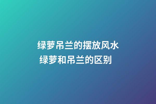 绿萝吊兰的摆放风水 绿萝和吊兰的区别